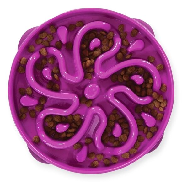 NWT Outward Hound Slo Bowl Purple LARGE Slow Feeder Anti Bloat Dog Bowl - Picture 2 of 9